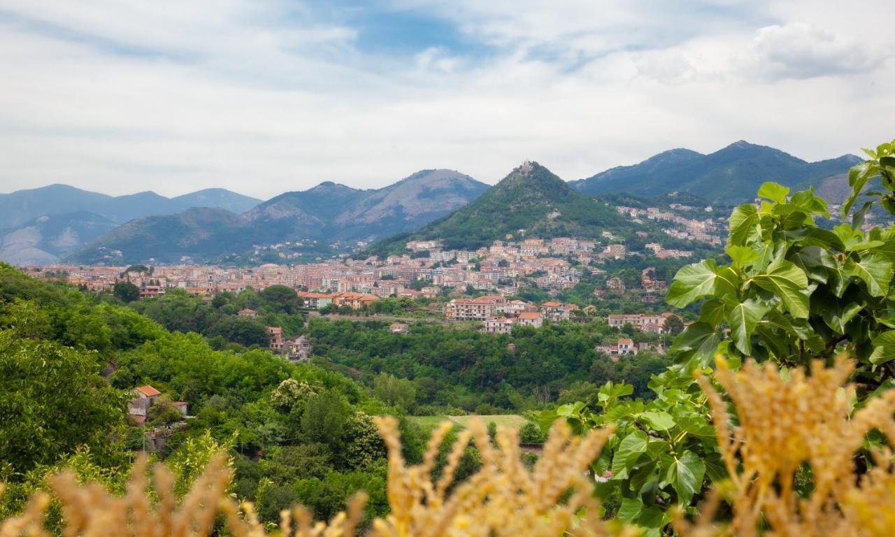 Casa La Terrazza *